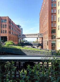 High Line - view
